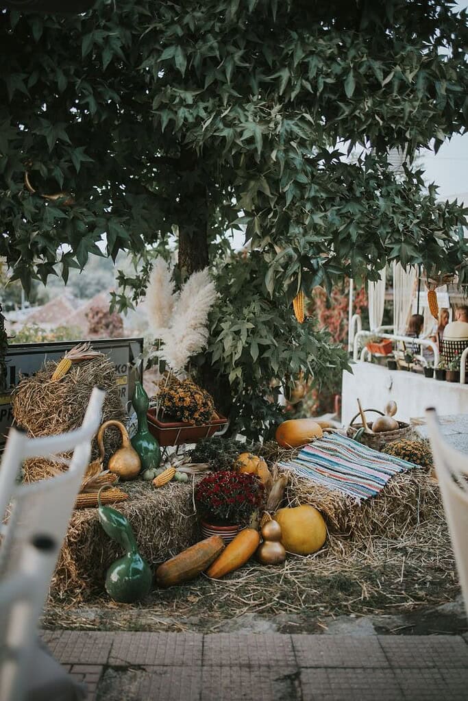 Salmon arm rotary harvest festival